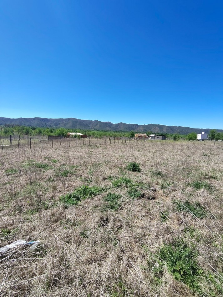 DOS LOTES EN SOLAR DE LOS REARTES