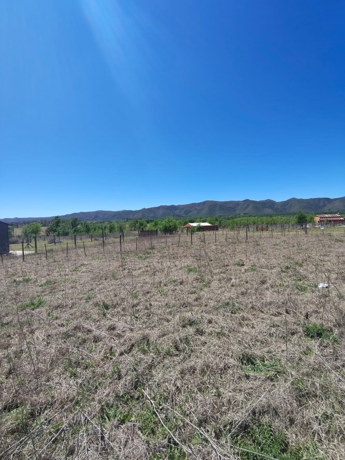 DOS LOTES EN SOLAR DE LOS REARTES