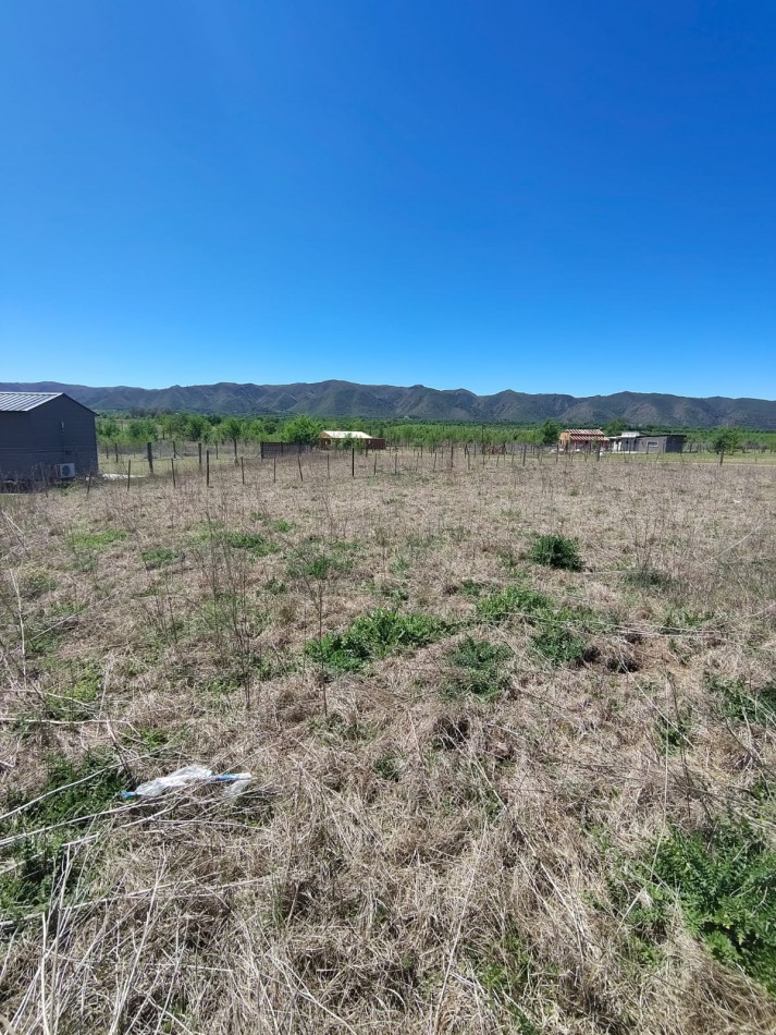 DOS LOTES EN SOLAR DE LOS REARTES
