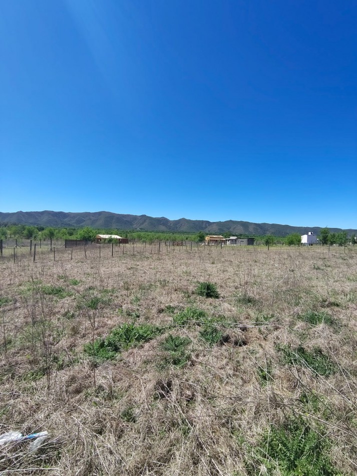 DOS LOTES EN SOLAR DE LOS REARTES