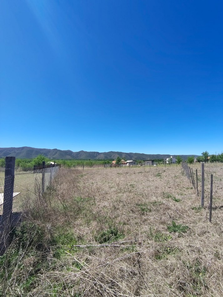 DOS LOTES EN SOLAR DE LOS REARTES