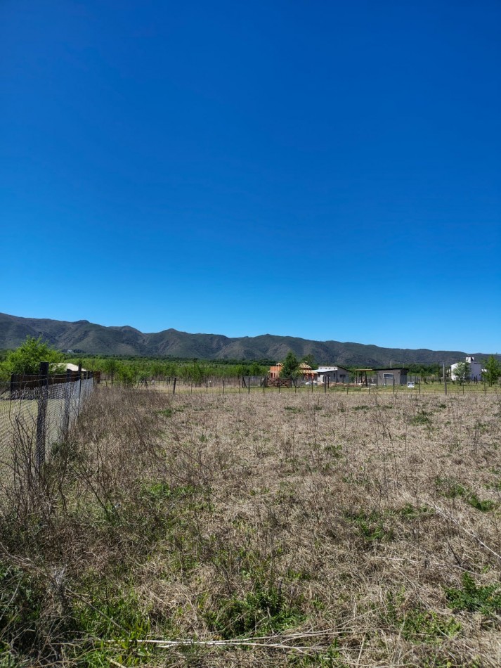 DOS LOTES EN SOLAR DE LOS REARTES