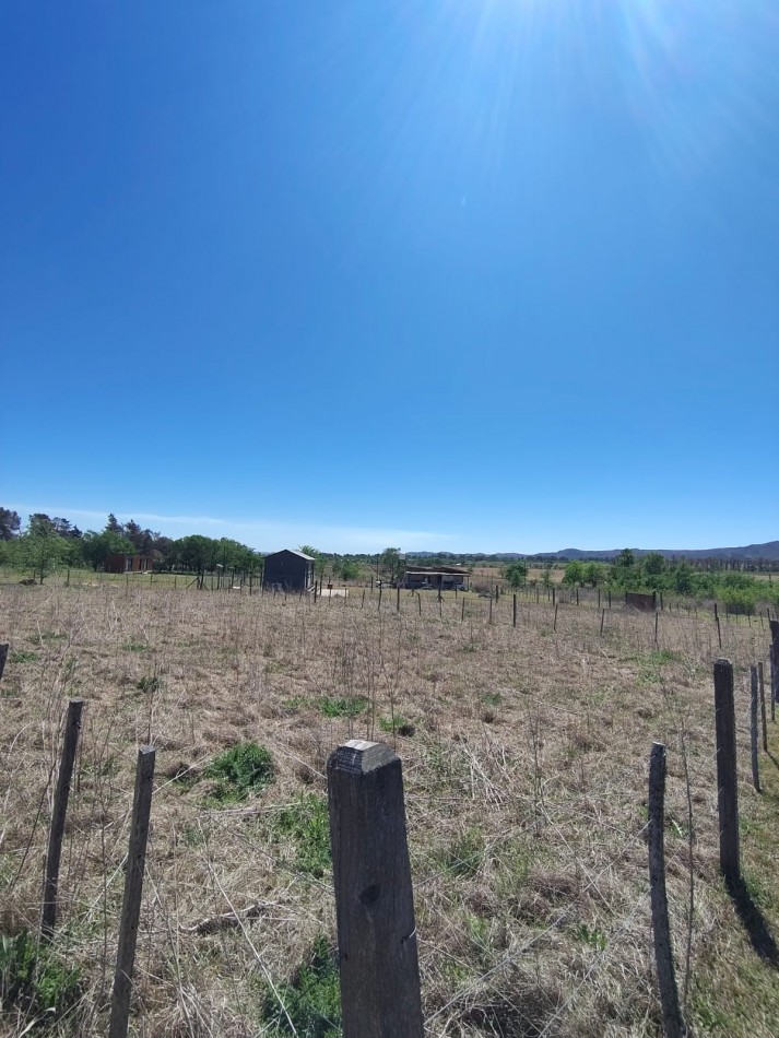 DOS LOTES EN SOLAR DE LOS REARTES