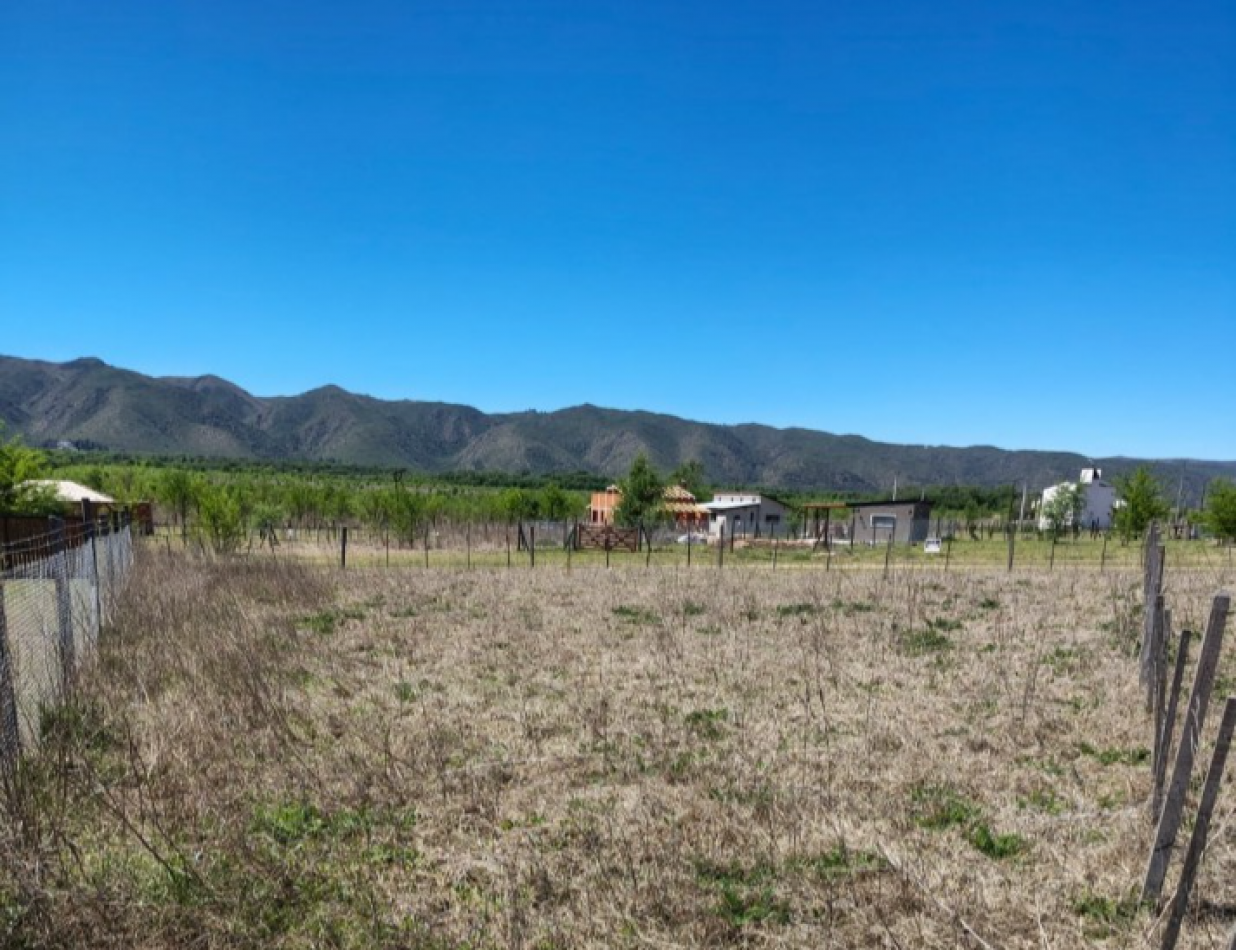 DOS LOTES EN SOLAR DE LOS REARTES