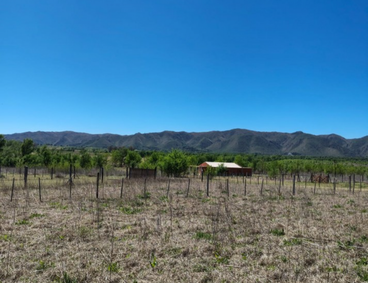 DOS LOTES EN SOLAR DE LOS REARTES