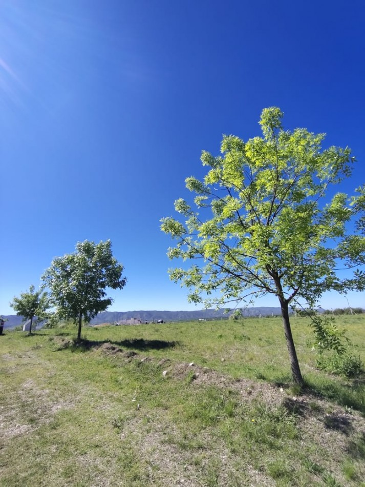 Espectacular Lote en Altos del Corral- Los Reartes