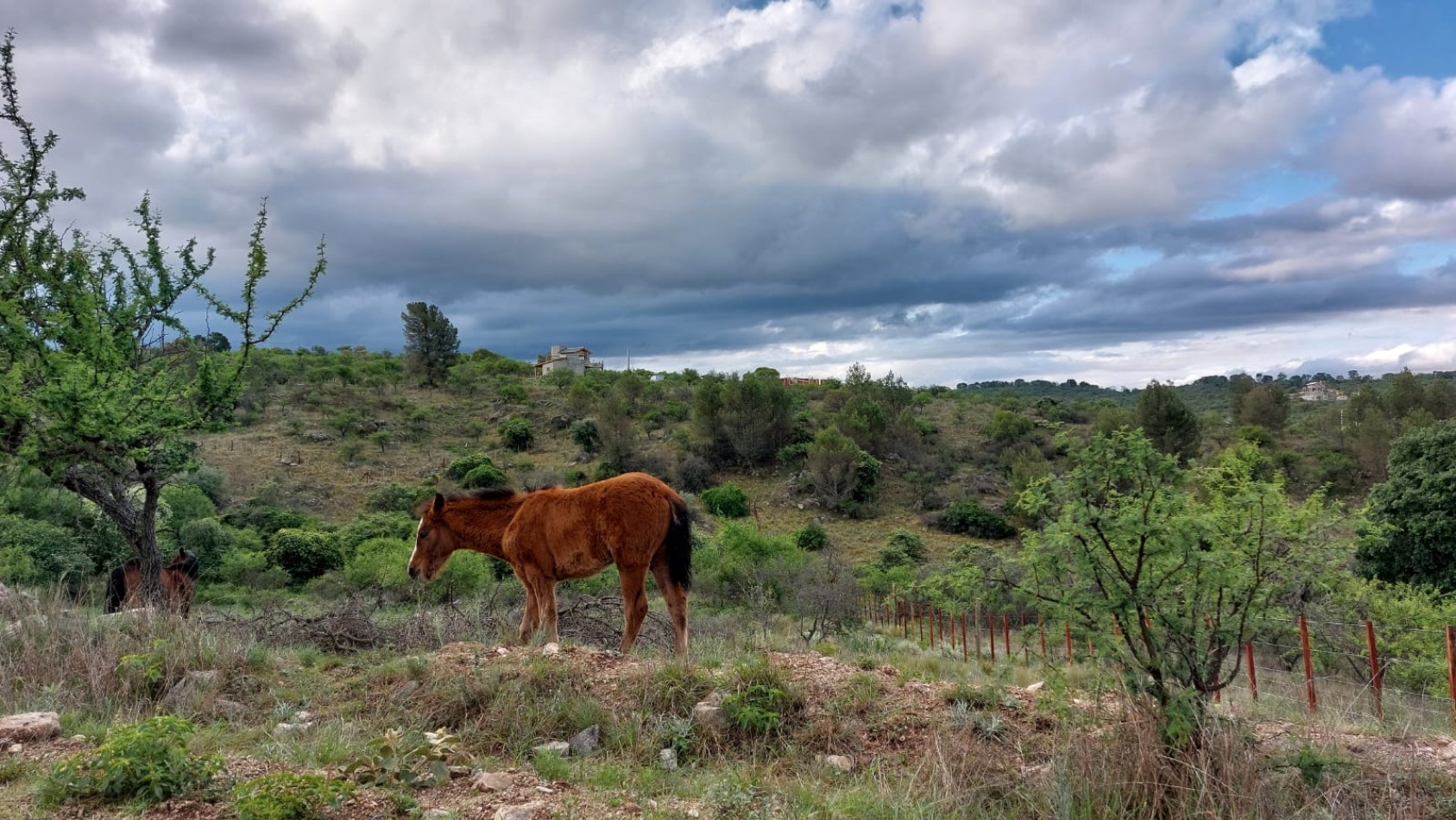 Importante lote para inversion