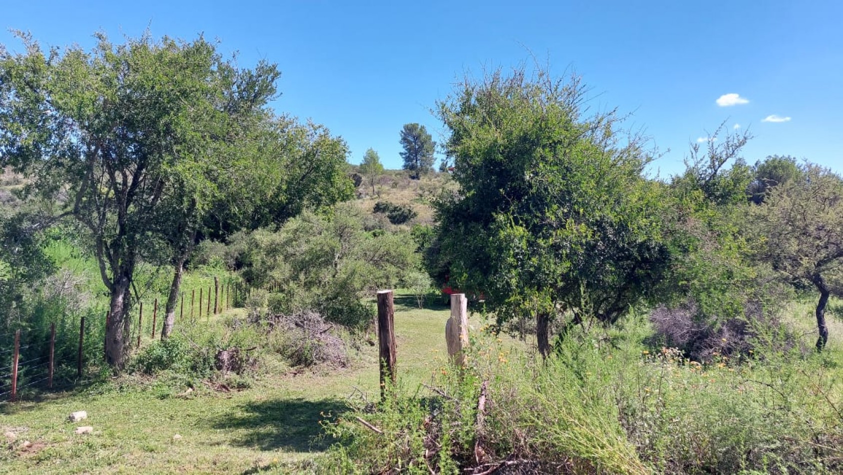 Importante lote para inversion