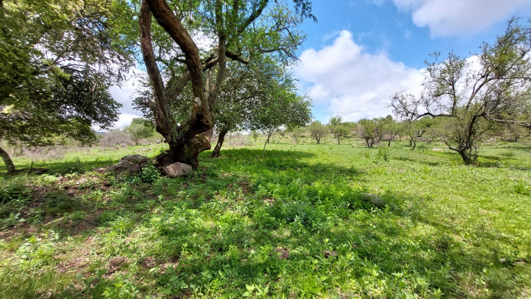 Importante lote para inversion