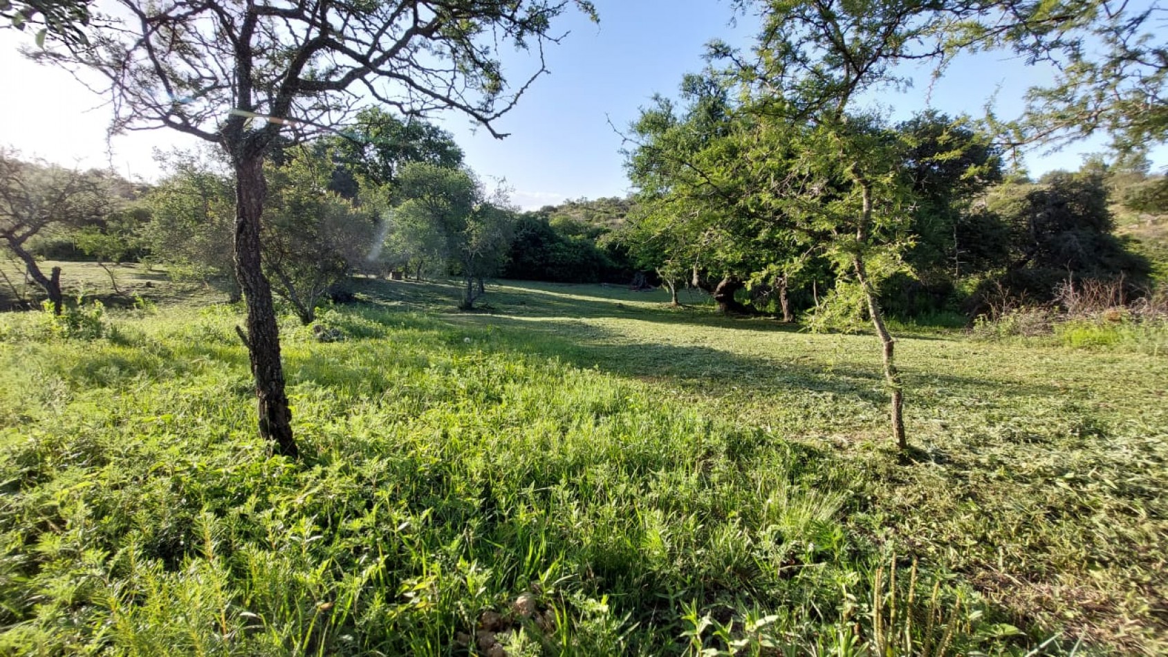 Importante lote para inversion