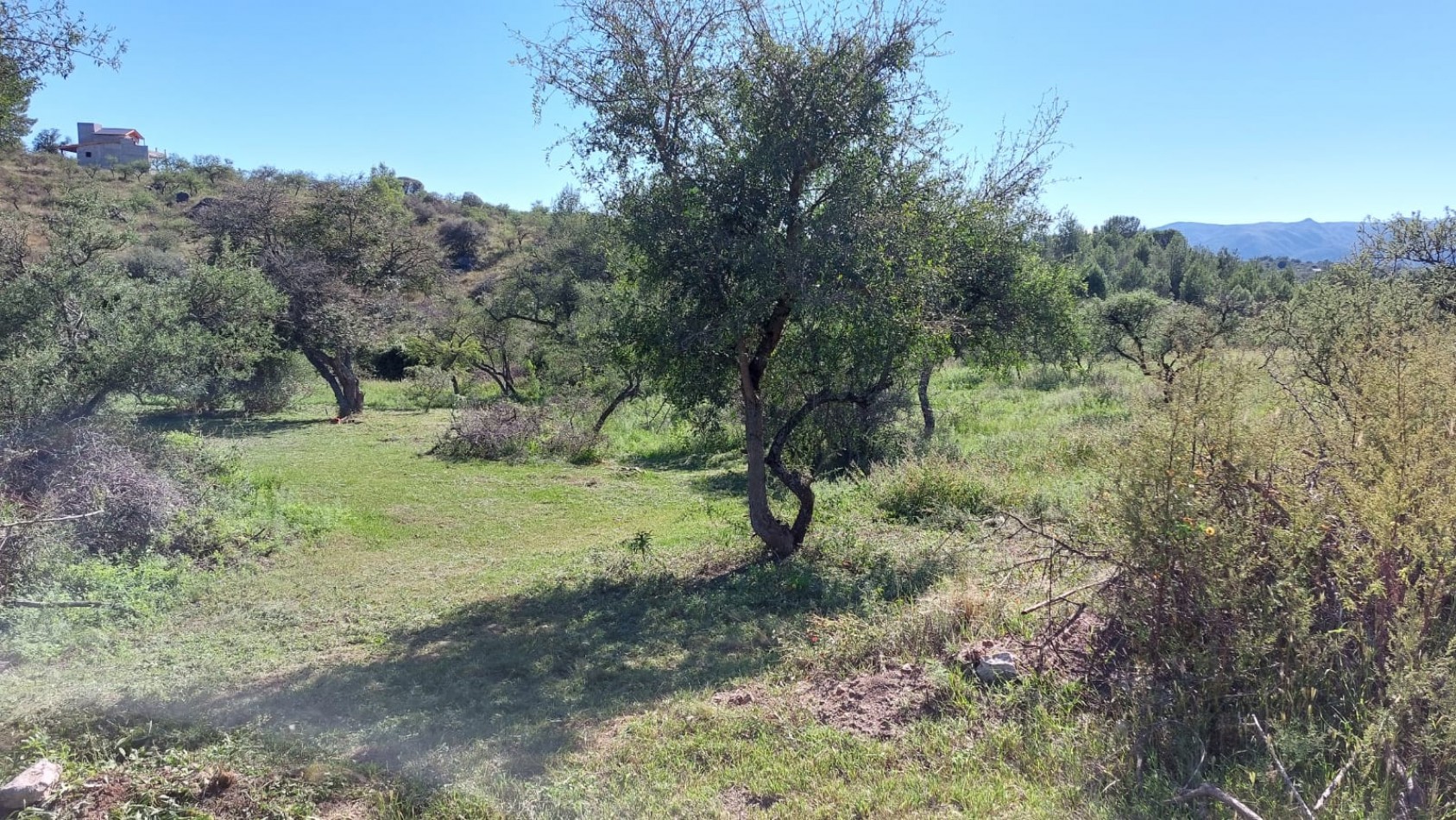 Importante lote para inversion