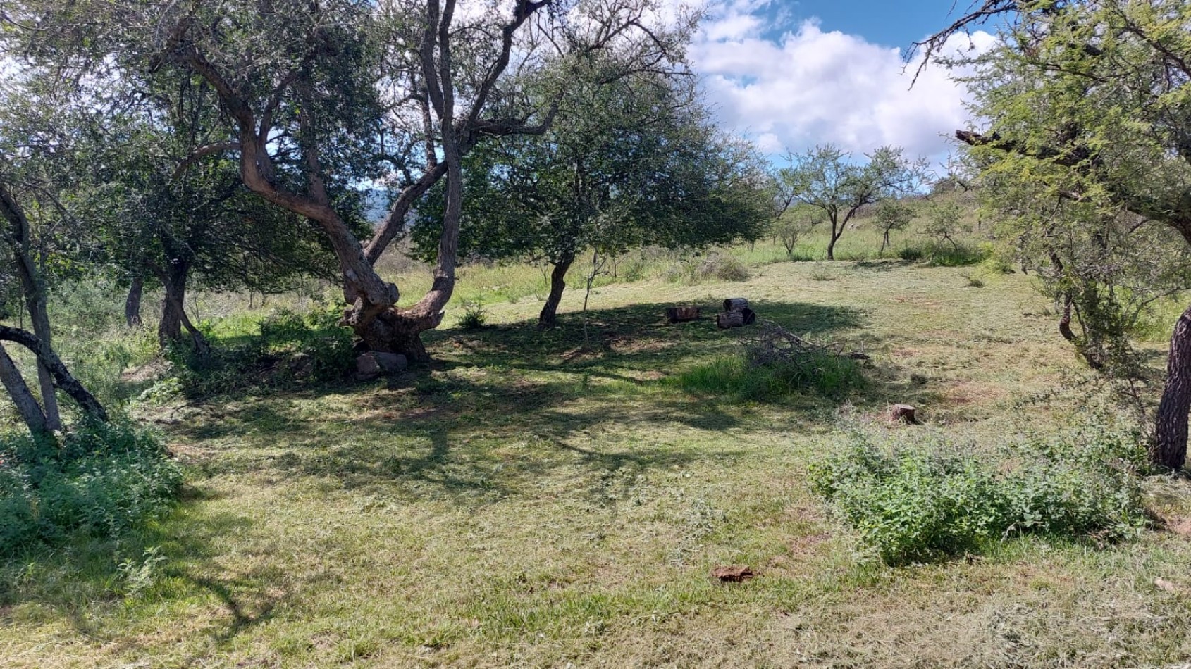 Importante lote para inversion