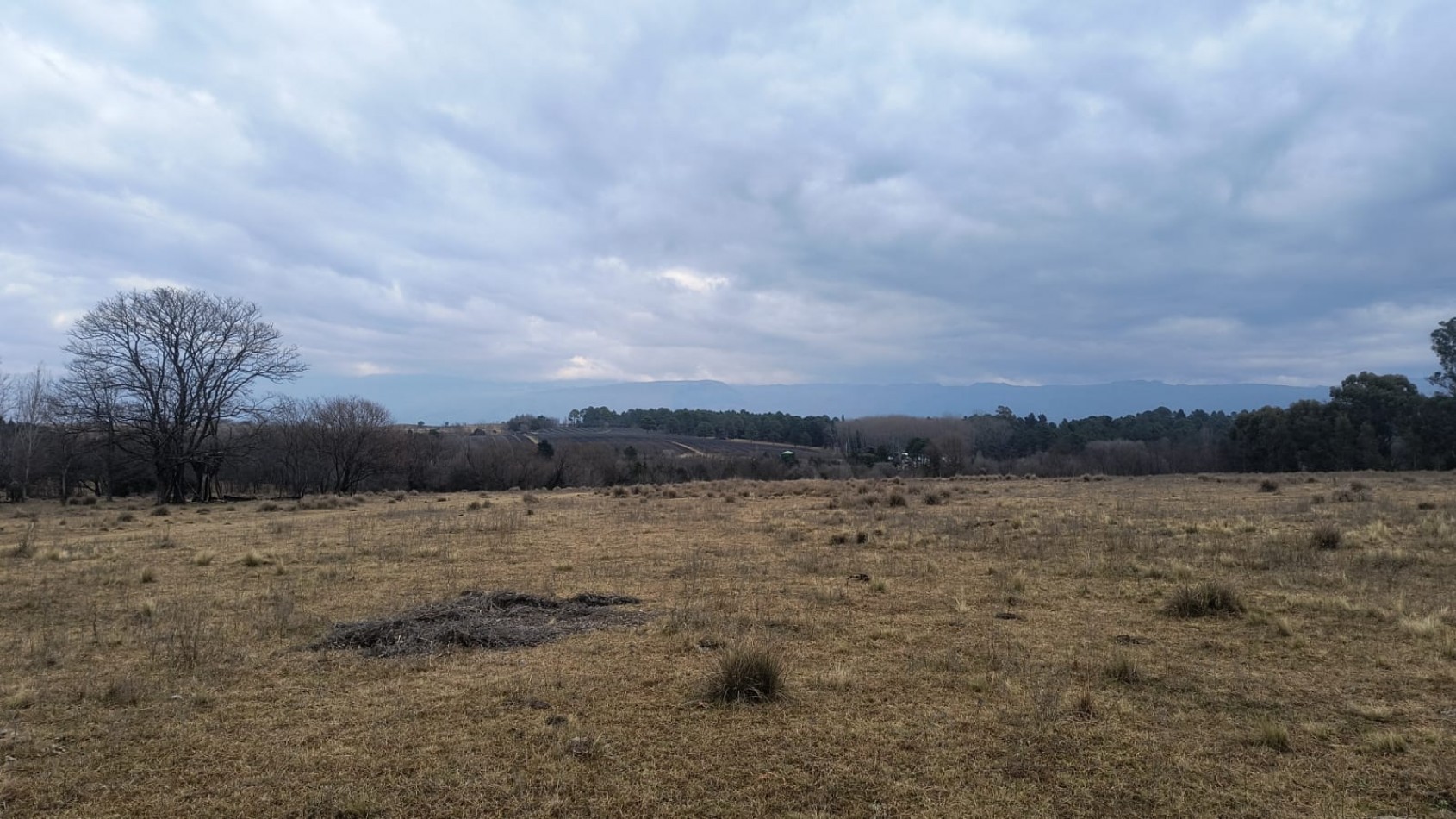 Campo unico con costa de rio
