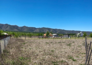 DOS LOTES EN SOLAR DE LOS REARTES