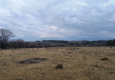 Campo unico con costa de rio